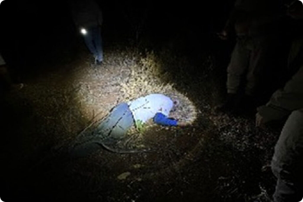 Homem de 86 anos é encontrado morto após possível ataque de abelhas em Guanambi