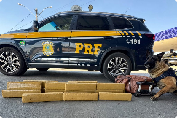 PRF apreende cerca de 20 kg de maconha em ônibus interestadual em Vitória da Conquista