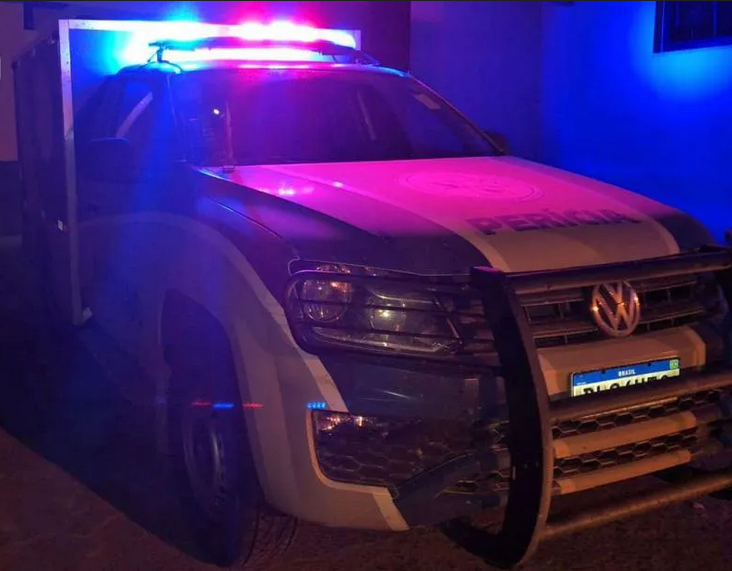 Idoso de 84 anos morre após ataque de abelhas em fazenda de Brumado.