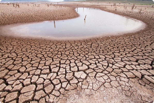 Defesa Civil Nacional reconhece situação de emergência por estiagem em três municípios do sudoeste baiano