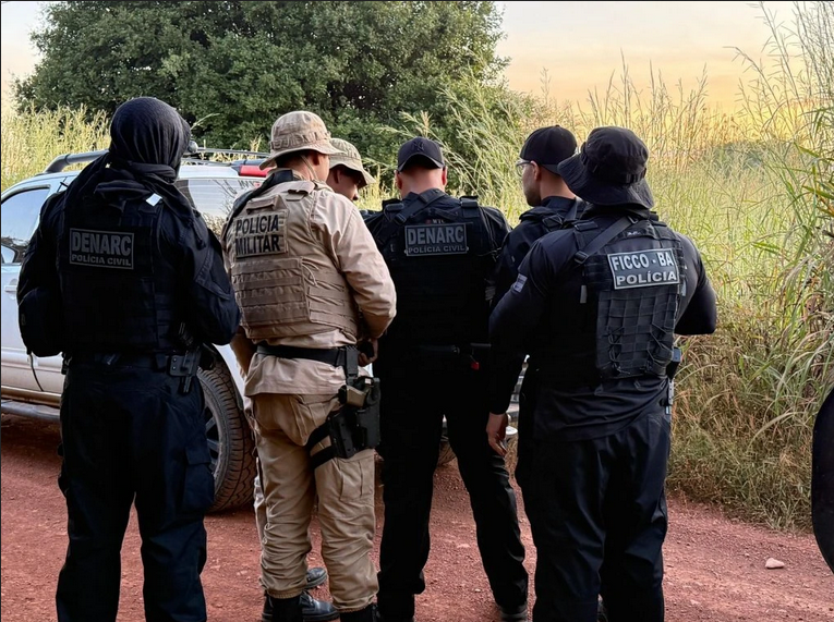 Operação Policial integrada localiza plantação com quase 50 mil pés de maconha em Muquém do São Francisco