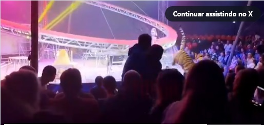 Tigre escapa de atração no circo e causa pânico ao saltar para a plateia.