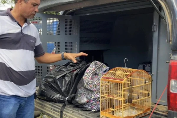 Blogueiro é preso em flagrante com drogas que seriam vendidos no São João da Bahia.